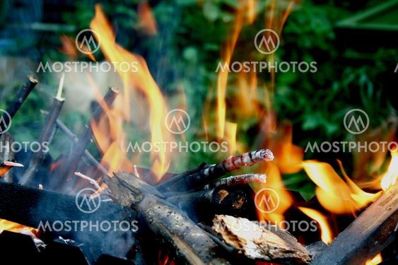 Wooden camp fire