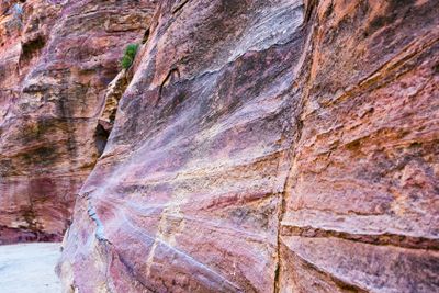 multicoloured sandstone walls of gorge Siq in Petra,