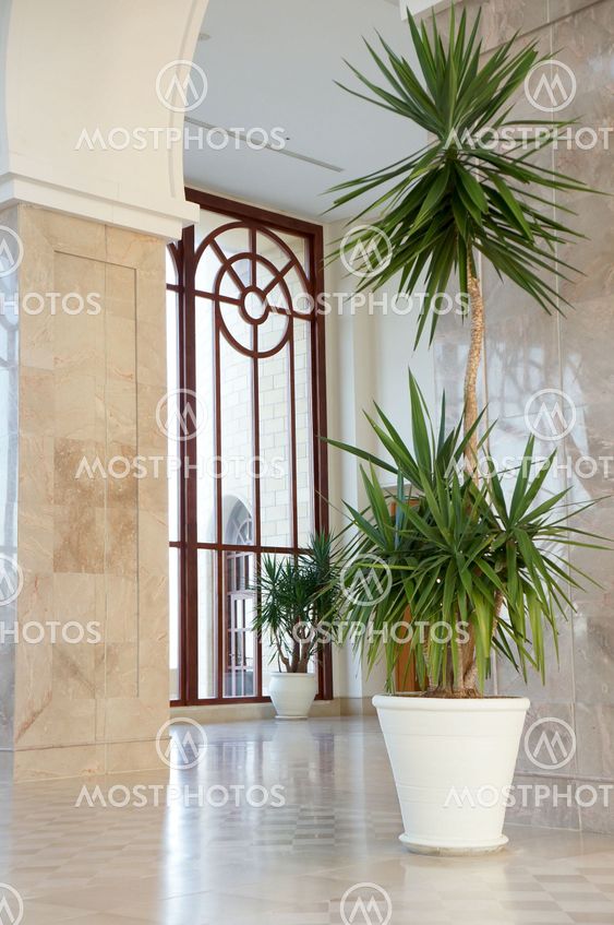Interior of a luxury building