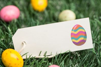 Composite image of easter egg