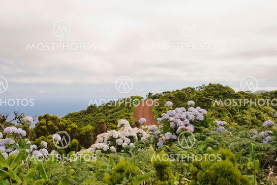 Faial ø, Azorerne