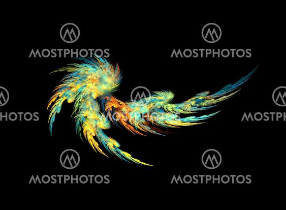 Color abstract feather