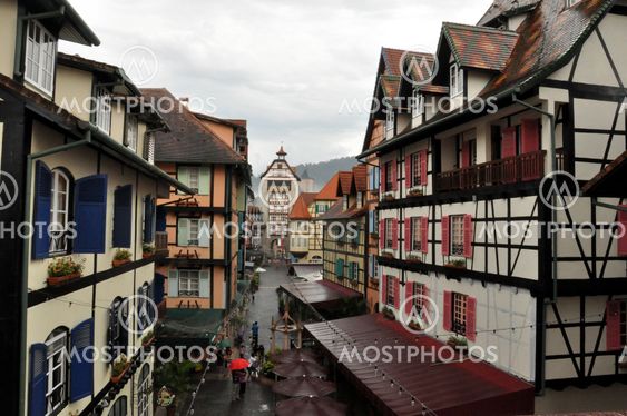 colmar tropicale