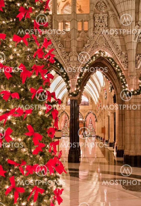 Christmas Parliament
