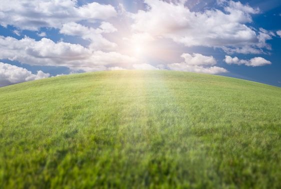 Green Grass Field, Blue Sky and Sun