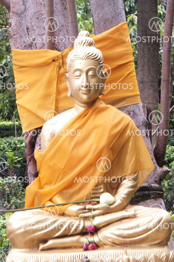 Buddha nojalla puu