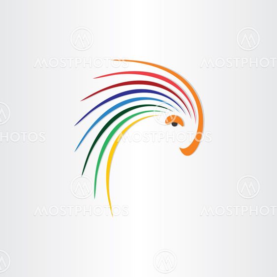 color bird parrot icon design