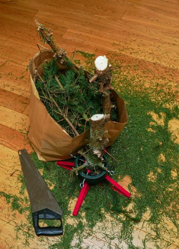 Christmas tree after the holidays with cut branches in a...