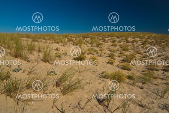 Dünen am Atlantik, Frankreich - Dunes at the atlantic ocean, france