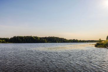 Calm lake and  green forested shoreline under clear...