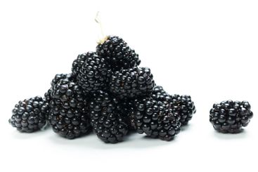 Fresh blackberries stacked and arranged on a neutral...