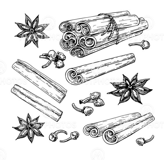 Cinnamon stick tied bunch, anise star and cloves. Vector...
