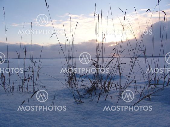 Frozen sea