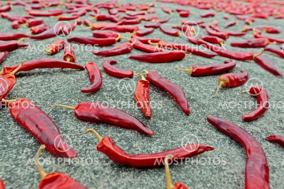 Many chili peppers drying on the ground
