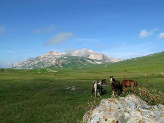 Mountains