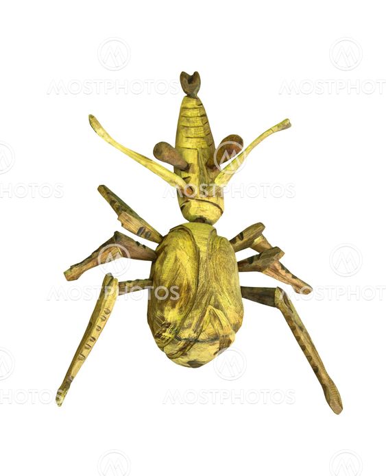 Artificial wooden bug isolated