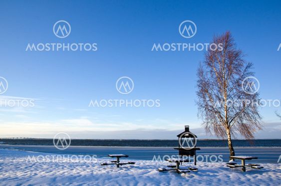 Winter at barbeque place