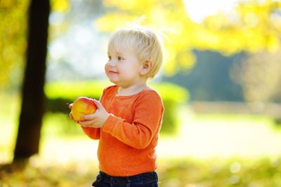 Toddler boy eating fresh bio pear 