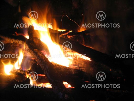 Bonfire and burning fire in the night