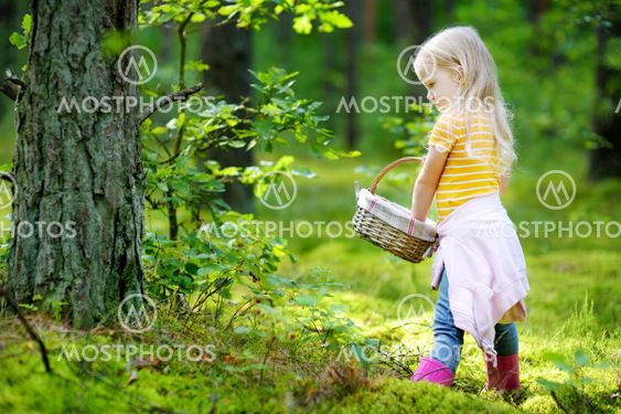 Adorable little girl picking foxberries in the forest