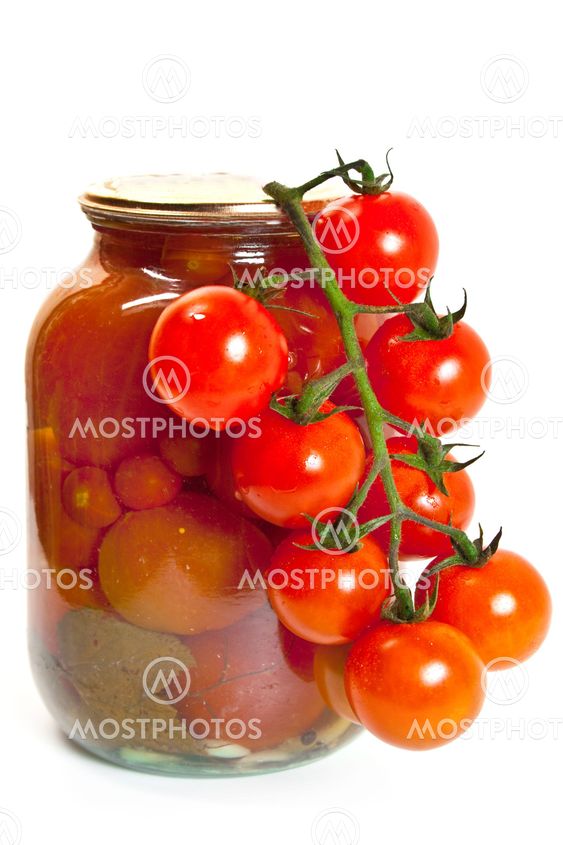 Fresh garden tomatoes