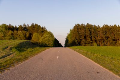 paved road in the spring season during sunset