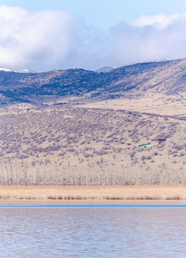 Lisi lake close to Tbilisi in the winter season