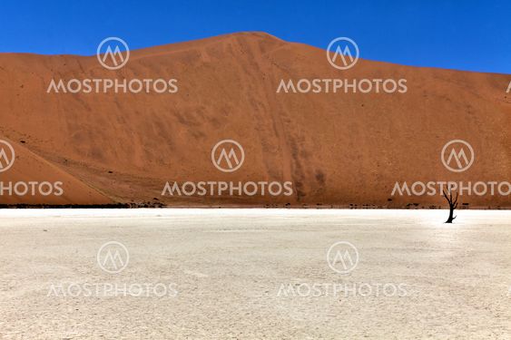 panoramic of deadvlei in the namib naukluft national park namibia africa