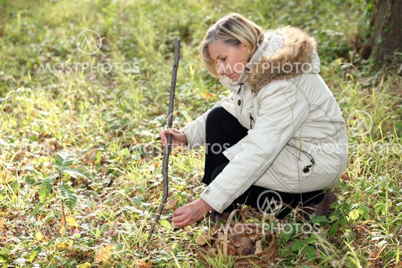 Kvinde på i woods kigge på blade