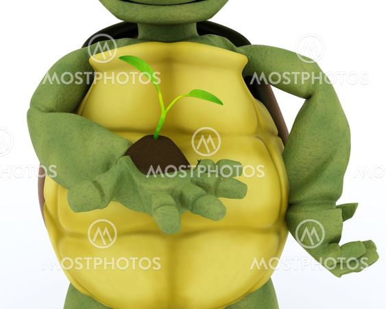 tortoise nurturing a seedling plant