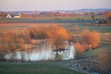 Pond in rural landscape in Skåne (Scania) during winter...