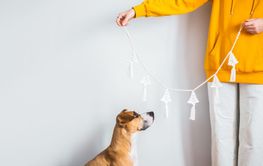 Handmade crochet new year decoration in woman hands with...