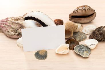 Assorted seashells arranged around blank card on wooden...