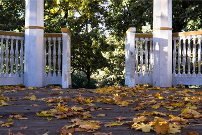 Autumn in Vitabergsparken, Stockholm  