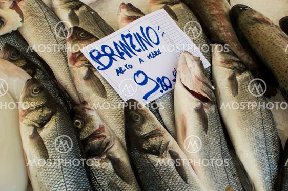 Sea Bass