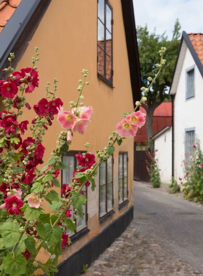 In the old town of Visby