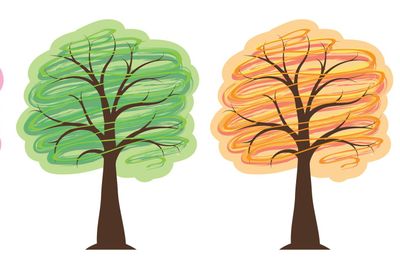 trees four seasons in bright colors spring summer autumn...