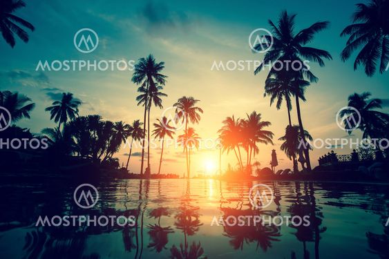 Sunset on a tropical resort beach with silhouettes of palm trees.