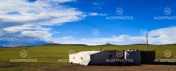 Beautiful grassland