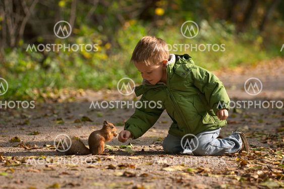 Little boy and squirrel