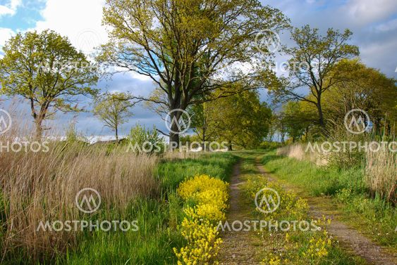 Springtime view