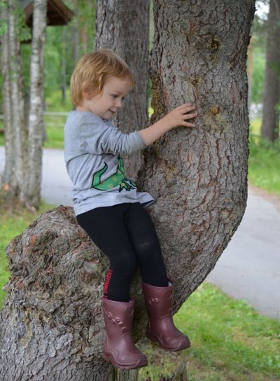 pojke i klätterträd