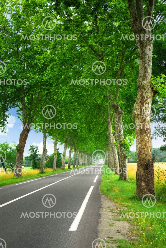 French country road
