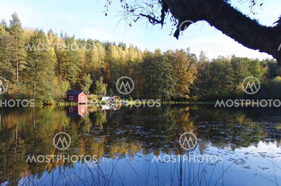 Autumn and the Lake