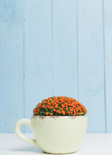 Bright orange flower arrangement in a vintage white cup...