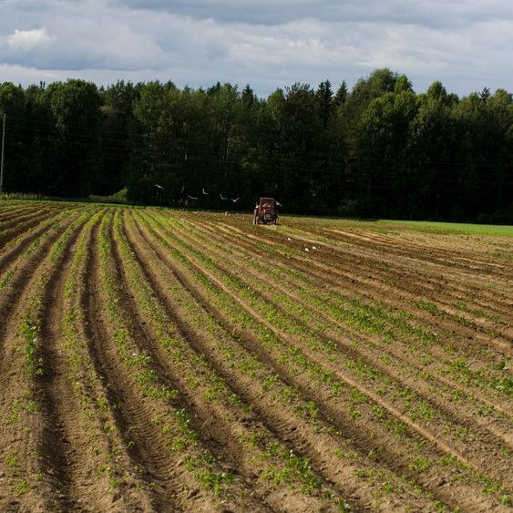 Farmer
