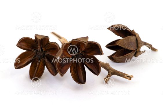 aromatic home accessories