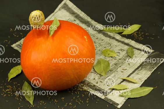 Still life of pumpkin, old paper and bay leafs