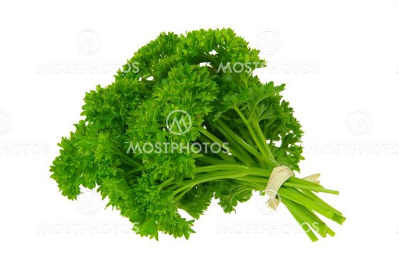 Petersilie - parsley 13