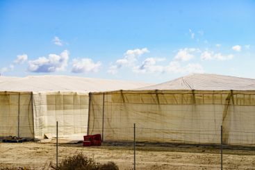 Plastic greenhouses on coast, Spain